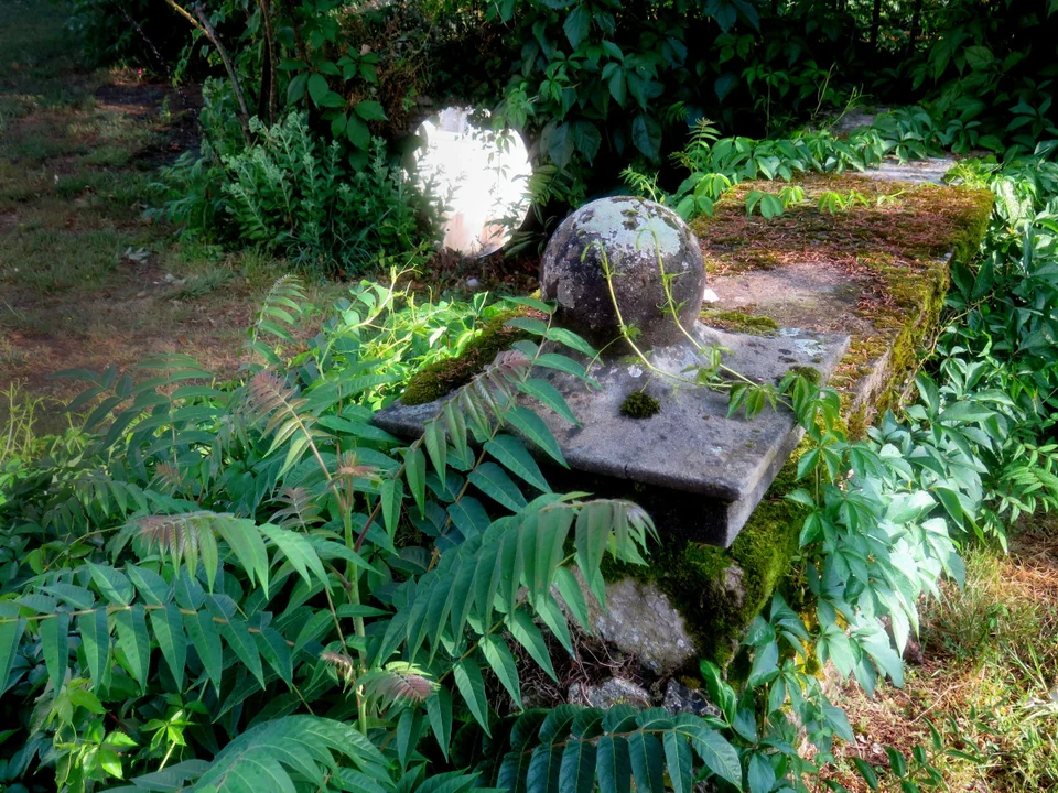 Schattiger Gartenbereich mit Farnen und Steinen