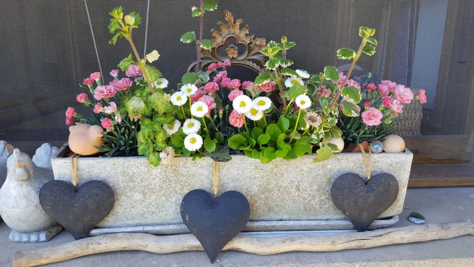 Blumenkasten mit Blüten und herzförmiger Dekoration