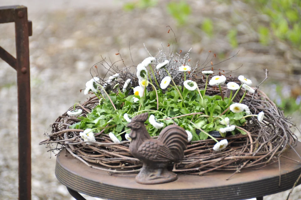 Blumenschale mit weissen Blüten und geflochtenem Rand